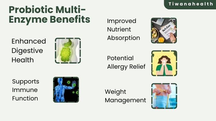 Probiotic Multi Enzyme Benefits